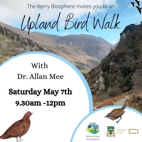 Upland Birds Walk