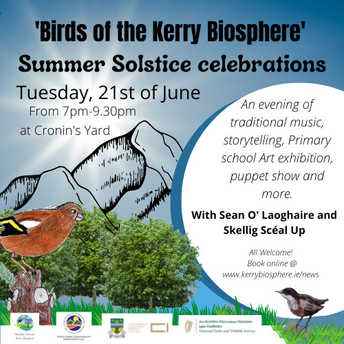 Summer Solstice Celebrations