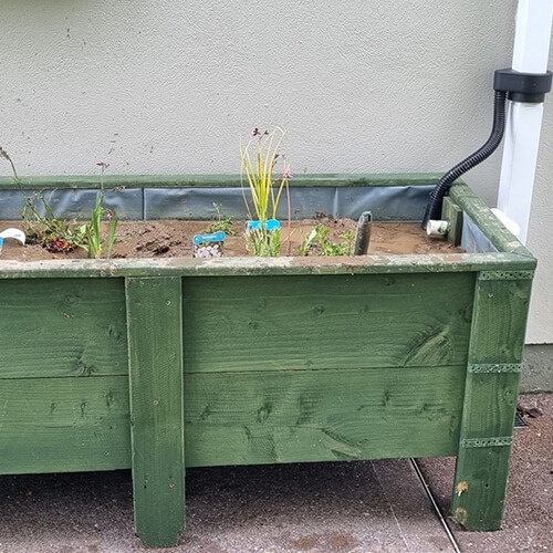 Rainwater Planters Looking Good